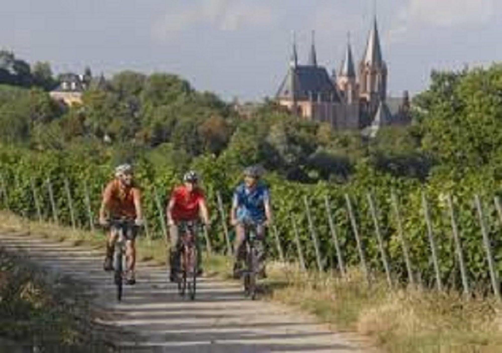 Western Wein- Und Parkhotel Hotel
